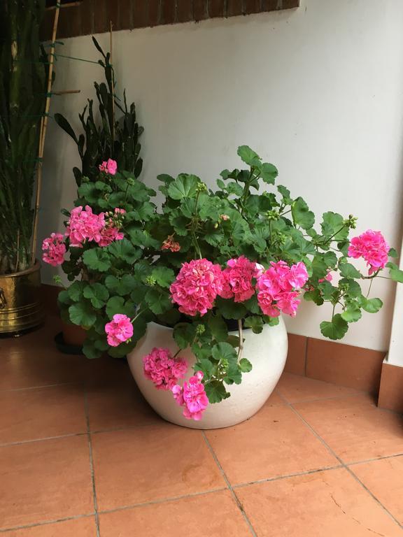 Agriturismo Da Ninoti Treviso Bagian luar foto